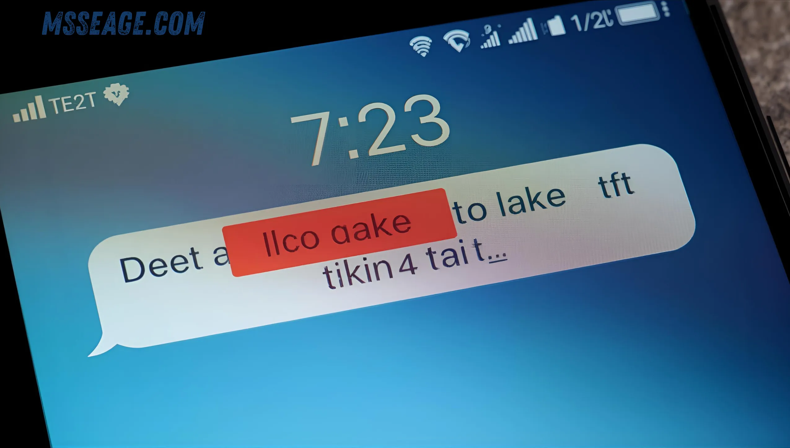 does sent as text message mean blocked